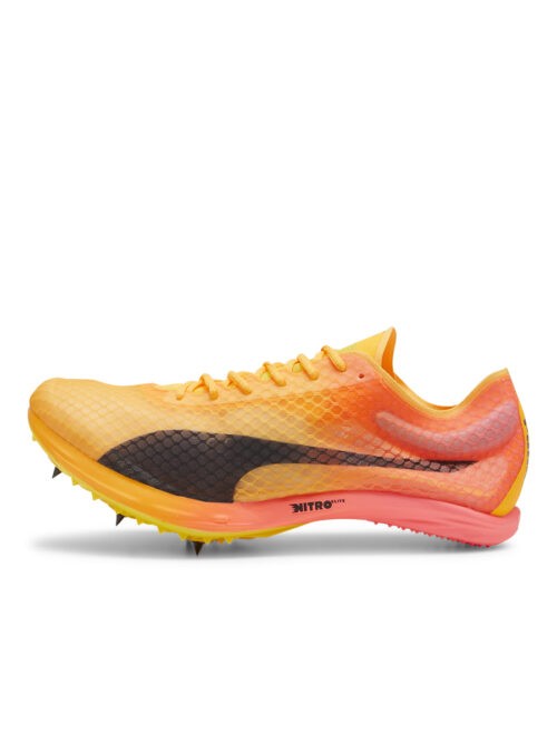 giallo